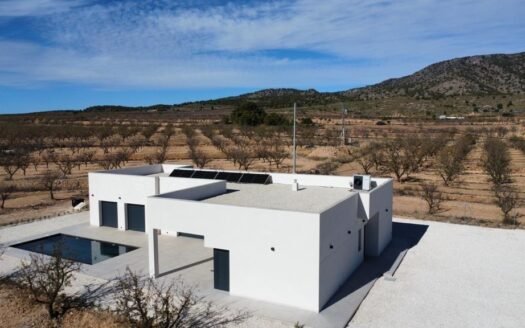 Villa for sale in Pinoso