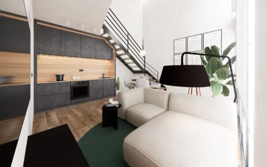 Modern Duplex Loft Apartments in the Heart of Alicante