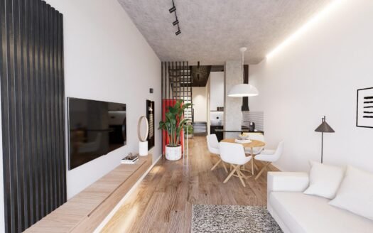 Modern Duplex Loft Apartments in the Heart of Alicante