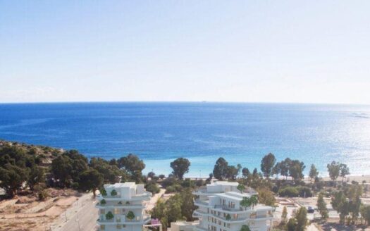 WONDERFUL PENTHOUSE 50M FROM THE BEACH