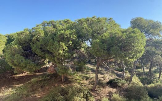 Luxury New Build Apartments Near the Beach in Guardamar del Segura