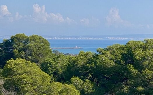 Luxury New Build Apartments Near the Beach in Guardamar del Segura